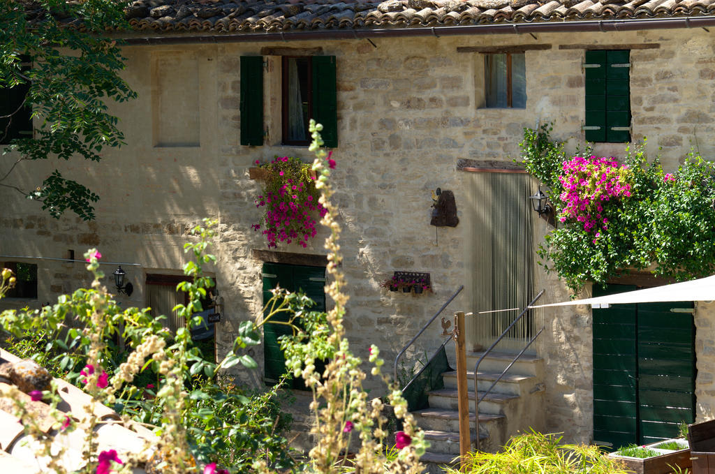 Bed and Breakfast La Girandola Cupramontana Exteriér fotografie