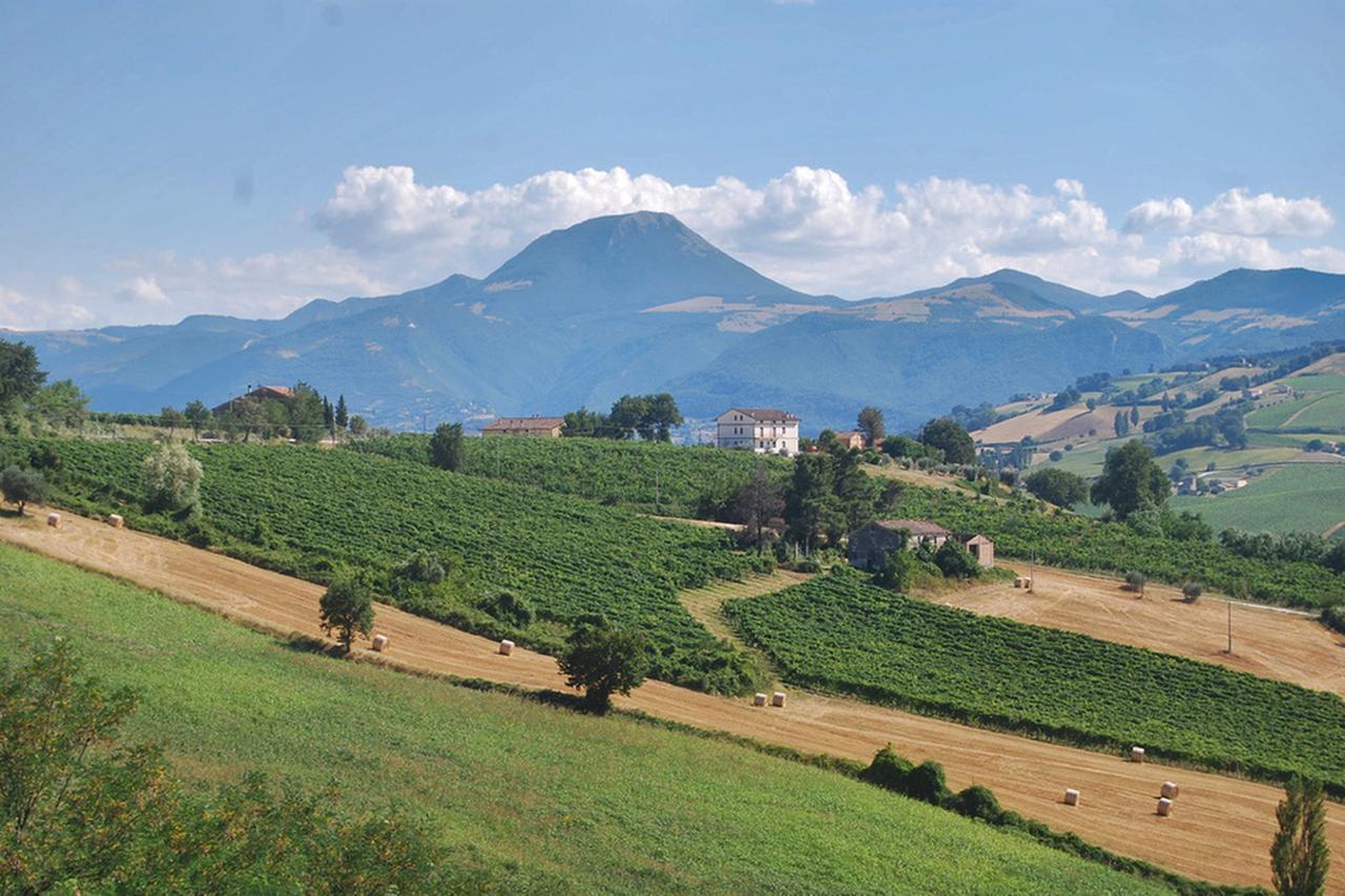 Bed and Breakfast La Girandola Cupramontana Exteriér fotografie