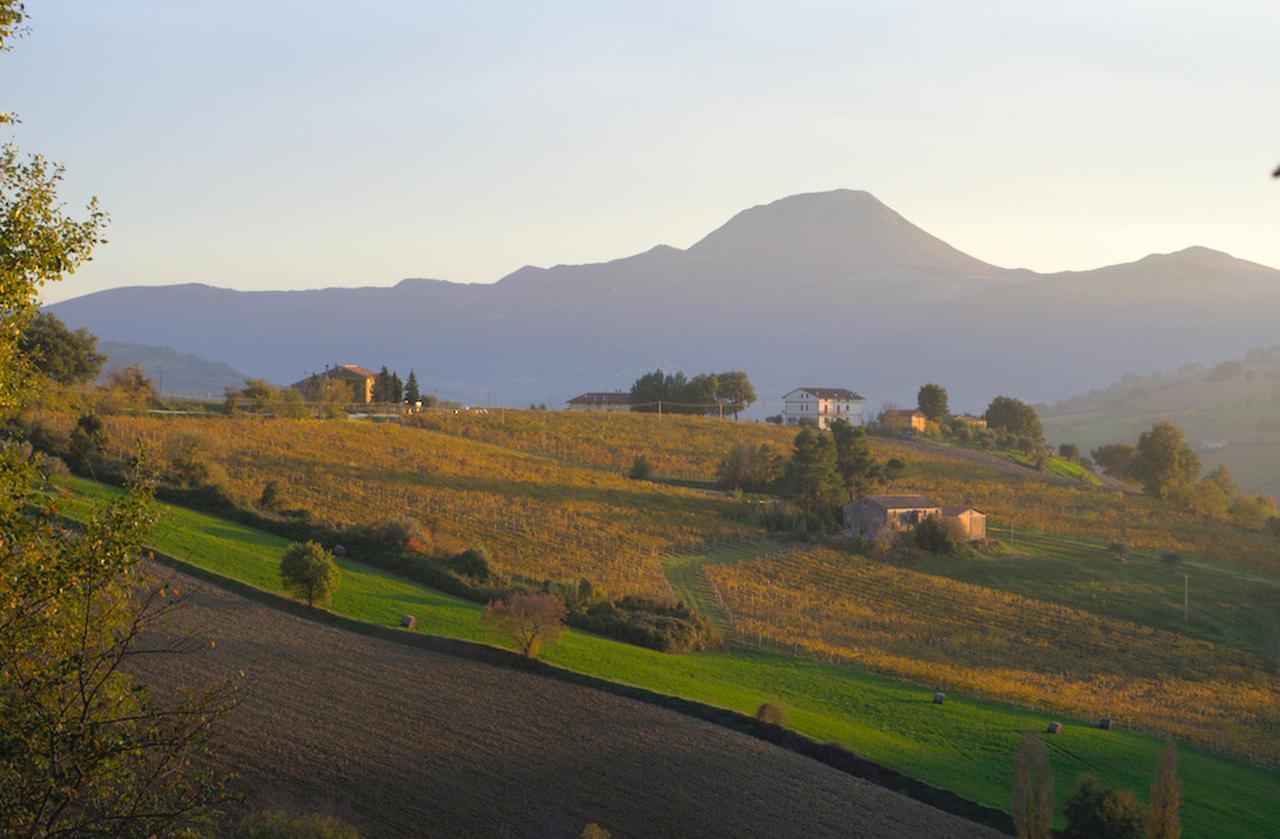 Bed and Breakfast La Girandola Cupramontana Exteriér fotografie